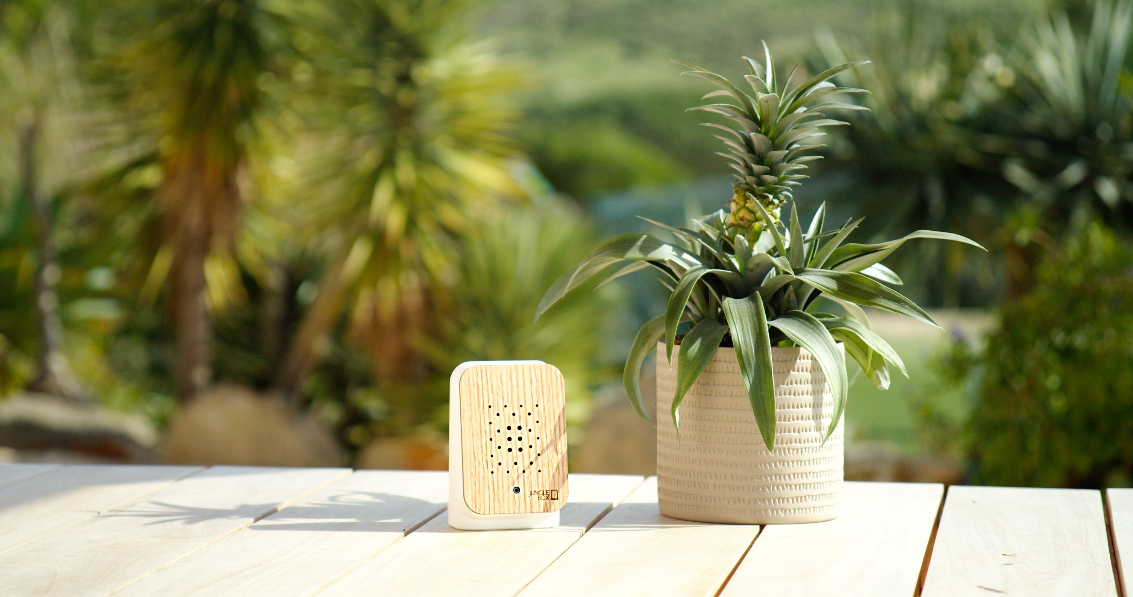 Junglebox