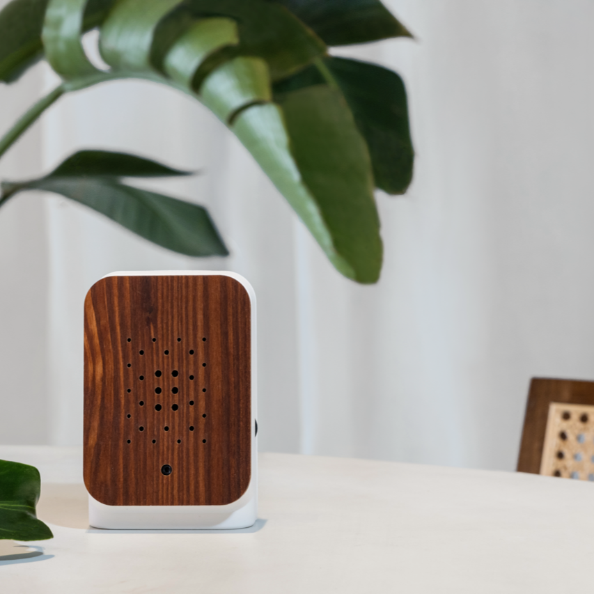 Junglebox